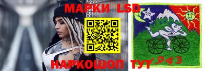 ECSTASY Камышлов