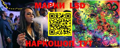 ECSTASY Камышлов