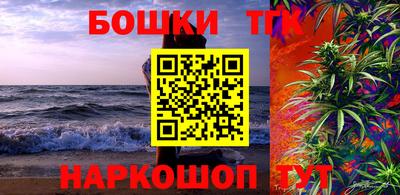 прущие грибы Кандалакша