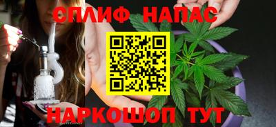 ECSTASY Камышлов