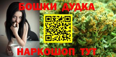 прущие грибы Кандалакша
