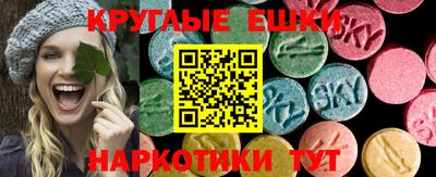прущие грибы Кандалакша