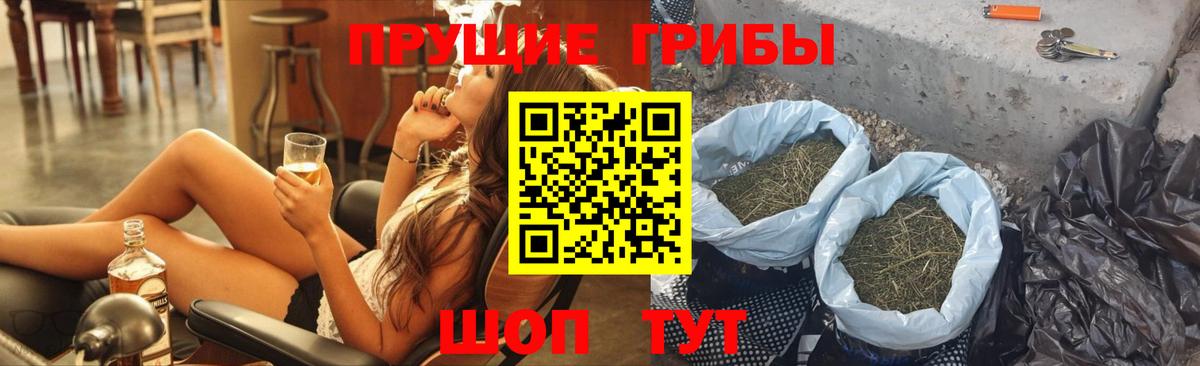 Псилоцибиновые грибы MAGIC MUSHROOMS  Вход с VPN  где купить наркотик  Кушва 